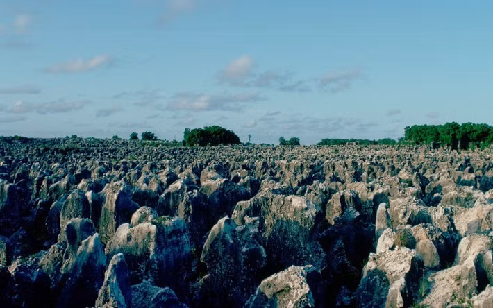 Nauru đã kiện lên tòa án quốc tế yêu cầu các công ty nước ngoài bồi thường vì đã làm ô nhiễm tài nguyên. Tất nhiên là Nauru thành công khi Australia đồng ý trả 2,6 triệu USD/năm trong vòng 20 năm trong khi New Zealand và Anh trả một lần 12 triệu USD. Dẫu vậy con số này là không đủ với một quốc gia chẳng còn gì ngoài một hòn đảo ô nhiễm.
