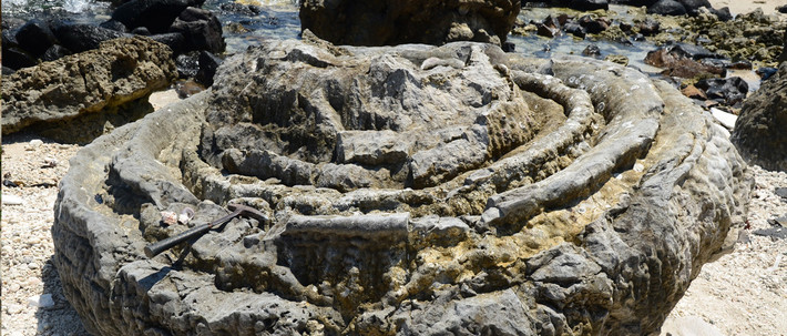 Đó là văn hóa thời đồ đá cũ và mới, văn hóa Sa Huỳnh, văn hóa Chăm Pa và văn hóa Đại Việt, đặc biệt là văn hóa Sa Huỳnh từ hơn 100 năm qua đã được biết đến như một nền văn hóa đặc sắc ở miền Trung.