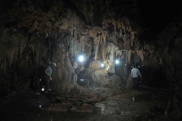 Theo thống kê của các nhà khoa học, Cao nguyên đá Đồng Văn chứa đựng trong đó 138 di sản địa chất các loại, có 58 di sản xếp hạng quốc tế, 61 di sản xếp hạng quốc gia và còn nhiều di sản cấp địa phương.