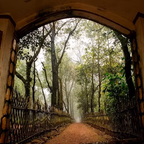 Trên đỉnh ngàn Nưa, ngoài Am Tiên - là nơi thờ Thánh Mẫu, thờ Phật… - còn có nhiều địa điểm kỳ bí như bàn cờ Tiên - tương truyền là nơi các tiên ông thấy cảnh đẹp thường lui tới thượng cờ, ngồi ngắm núi sông làng mạc, cho đến bây giờ dấu tích bàn cờ tiên vẫn đang còn.