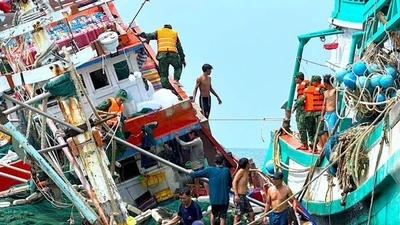 Tàu cá va đá ngầm, 13 thuyền viên được cứu an toàn trên vùng biển Cà Mau