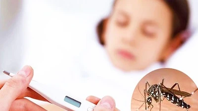Dịch sốt xuất huyết bùng phát mạnh tại Tây Ninh, 3 trường hợp tử vong