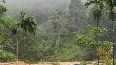 Đà Nẵng: Sạt lở, hàng nghìn mét khối đất đá tràn xuống Quốc lộ 40B