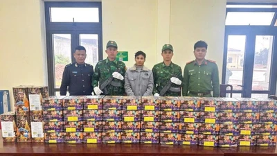 Đà Nẵng: Bắt giữ 88,8kg pháo hoa nổ giấu dưới quặng bô xít
