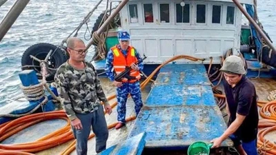 Cảnh sát biển bắt tàu cá chở 100.000 lít dầu DO không hóa đơn tại Cà Mau