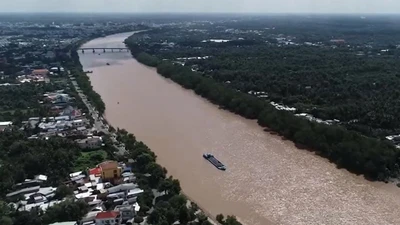 Vĩnh Long: Đầu tư 500 tỷ đồng gia cố sạt lở bờ sông Hàm Luông