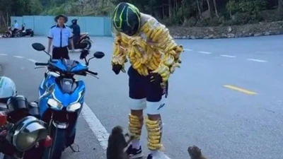 Du khách nước ngoài chọc ghẹo khỉ hoang dã tại Sơn Trà