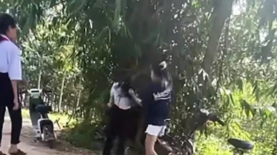 Xử phạt hai học sinh lớp 9 liên quan vụ việc xô xát với nữ sinh lớp 7