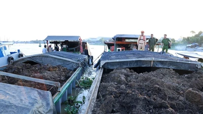 Phát hiện 7 phương tiện thủy vận chuyển đất mặt không hóa đơn