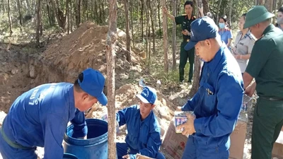 Lâm Đồng: Tiêu hủy pháo nổ nhập lậu, tăng cường trật tự an toàn xã hội