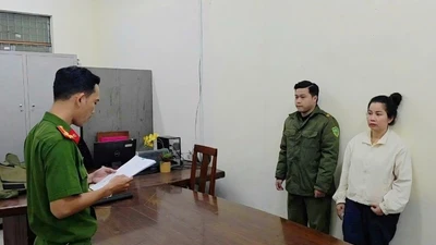 Đà Nẵng triệt phá đường dây buôn lậu hơn 90.000 tôm hùm giống