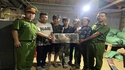 Lâm Đồng: Người dân giao nộp nhiều động vật hoang dã quý hiếm