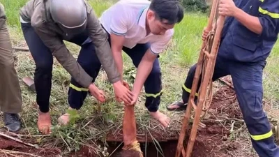Đồng Nai: Cứu thành công nam thanh niên rơi xuống hố sâu khi đi làm rẫy