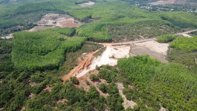 Đồng Nai: Hủy hoại gần 0,5 ha đất nông nghiệp, một cá nhân bị phạt 70 triệu