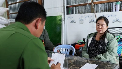 An Giang: Phát hiện hàng chục tấn phân bón chưa được phép lưu hành