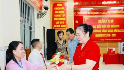 Khánh Hòa công bố kết quả bầu cử HĐND tỉnh nhiệm kỳ 2026–2031