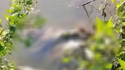 Bắt khẩn cấp nghi phạm 16 tuổi liên quan vụ bé gái 13 tuổi tử vong ở Cà Mau