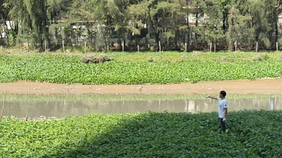 TP HCM: Xác minh danh tính nam giới tử vong tại rạch Cả Cấm