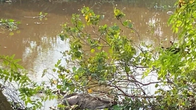 Điều tra vụ người đàn ông tử vong chưa rõ nguyên nhân tại xã Bình Đức