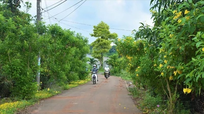 Ban QLDA ĐTXD Khu vực Long Đất mời thầu gói nâng cấp tuyến đường hơn 25 tỷ 