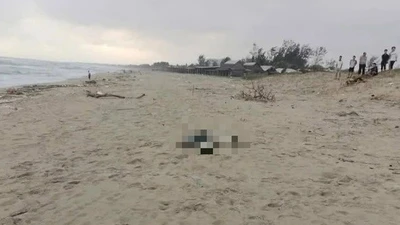 Đà Nẵng: Phát hiện hai thi thể tại các bãi biển, công an khẩn trương xác minh
