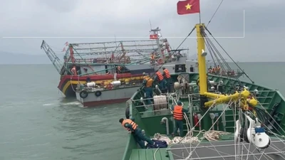 Bộ đội Biên phòng Đà Nẵng cứu nạn kịp thời tàu cá bị phá nước