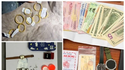 Truy bắt kẻ trộm tài sản trị giá trên 1,5 tỷ đồng tại Tây Ninh