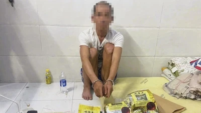 Đồng Nai triệt phá đường dây ma túy quy mô lớn