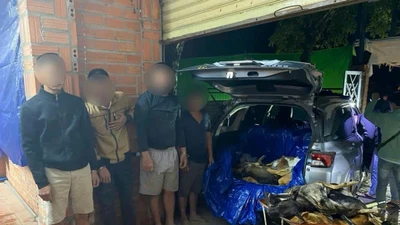 Triệt phá hai tụ điểm trộm cắp, tiêu thụ chó quy mô lớn tại Tây Ninh