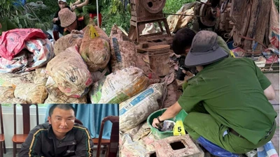 Triệt phá đường dây khai thác vàng lậu, thu giữ 700g vàng