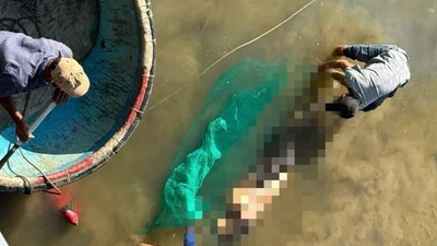 Điều tra vụ thi thể cụ bà được phát hiện dưới sông Cà Ty