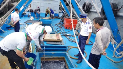 Tạm giữ tàu vận chuyển lượng lớn dầu DO không chứng từ