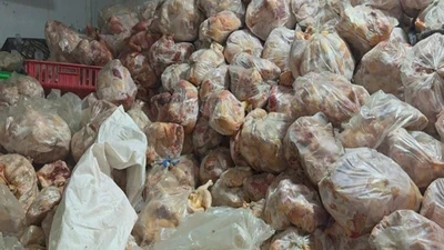 Phát hiện hơn 10 tấn gia cầm không rõ nguồn gốc tại Khánh Hòa