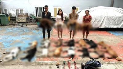 TP HCM: Phát hiện nhóm trộm và tiêu thụ hơn 2 tạ chó