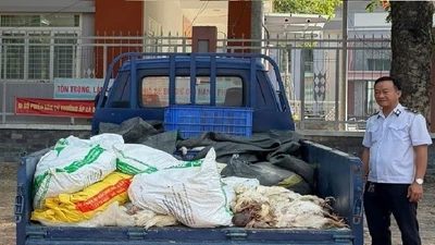 TP HCM: Phát hiện xe tải vận chuyển hơn 200 kg gà chết