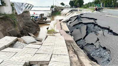 Khẩn cấp xây dựng kè chống sạt lở sông Tiền dài 730m tại Đồng Tháp