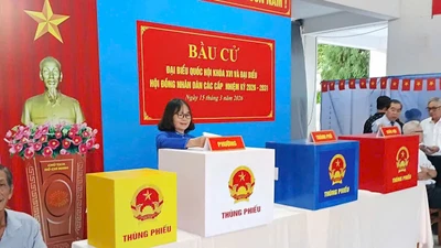 Hơn 76,1 triệu cử tri cả nước tham gia bầu cử