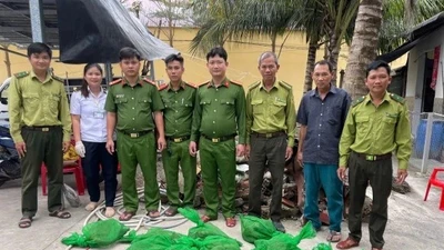 Cà Mau: Phát hiện 22 con chồn hương trên vỏ lãi bị bỏ lại khi kiểm tra