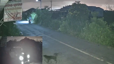 Camera ghi lại vụ dùng ô tô tiếp cận, đưa chó lên xe tại Tây Ninh