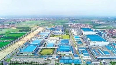 Cà Mau đầu tư hơn 61 tỷ đồng xây đường vào Khu công nghiệp Hòa Trung