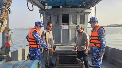 Phát hiện tàu cá vỏ gỗ vi phạm trên vùng biển Vũng Tàu
