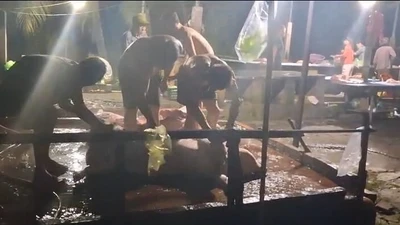 Đồng Tháp: Phát hiện 2 cơ sở giết mổ động vật không phép tại phường Trung An