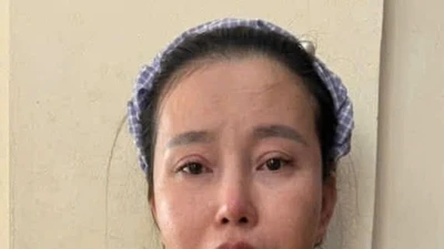 Bắt giữ bị can truy nã trong vụ lừa đảo chiếm đoạt tài sản tại Cà Mau