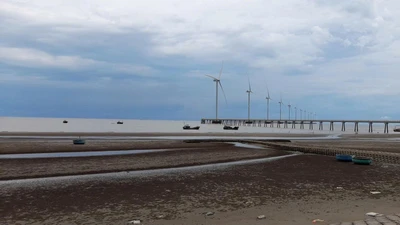 Vĩnh Long: Khẩn trương làm sạch biển Ba Động phục vụ Tết Nguyên đán 2026