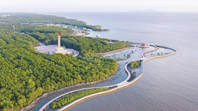 Về Đất Mũi Cà Mau du xuân: Trải nghiệm ‘rừng vàng biển bạc’ nơi cuối trời Nam