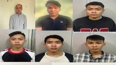 Đồng Nai triệt phá nhóm trộm pin linh kiện tại khu công nghiệp