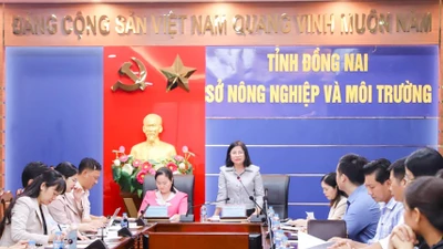 Đồng Nai và Cần Thơ mở rộng thị trường nông sản qua hợp tác chiến lược