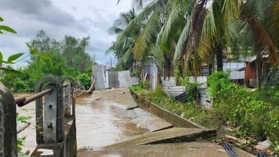 Vĩnh Long khẩn trương triển khai giải pháp chống sạt lở bờ sông Giao Long