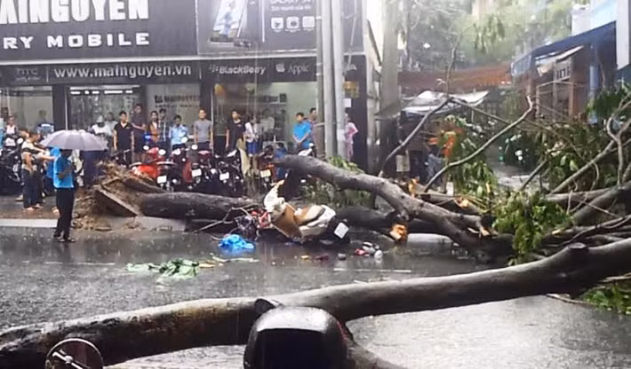 Lúc này, chị Nguyễn Thị Dung (36 tuổi, ngụ quận 10) cùng 2 con được chồng chở lưu thông ngang qua giao lộ Nguyễn Bỉnh Khiêm - Nguyễn Thị Minh Khai (phường Đa Kao, quận 1) thì bị 2 cây xanh (cao hàng chục mét) ngã đè lên xe. Người chồng và 2 con nhỏ kịp nhảy khỏi xe, chị Dung bị kẹt cứng phải nhờ hơn 20 người nhấc thân cây đưa đi cấp cứu. Tuy nhiên đến tối cùng ngày, do bị thương nặng nạn nhân đã tử vong.