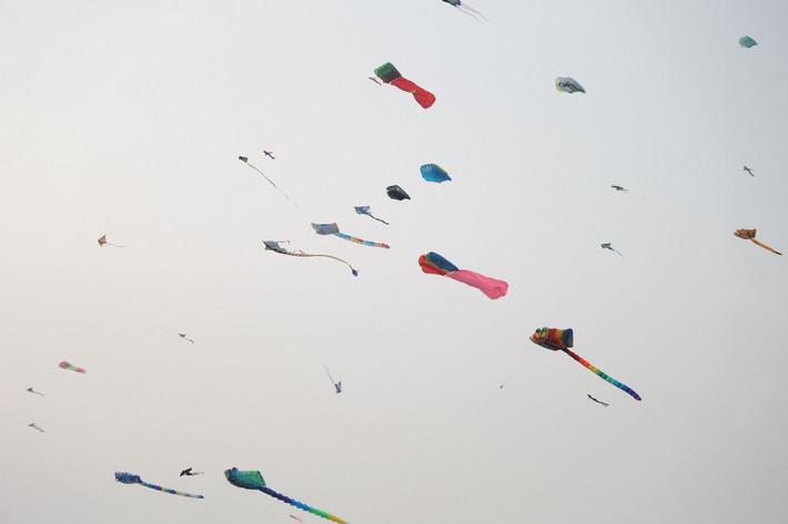 Trẻ nhỏ thích thú vừa được chơi đùa, thả diều trên đồng trống vừa ngắm diều khổng lồ cùng gia đình